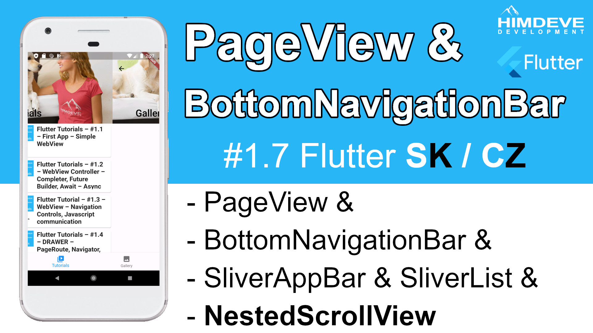#1_7 pageview Flutter SK / CZ tutorialy