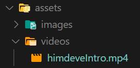 himdeve flutter video assets structure